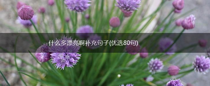 什么多漂亮啊补充句子(优选80句),第1张