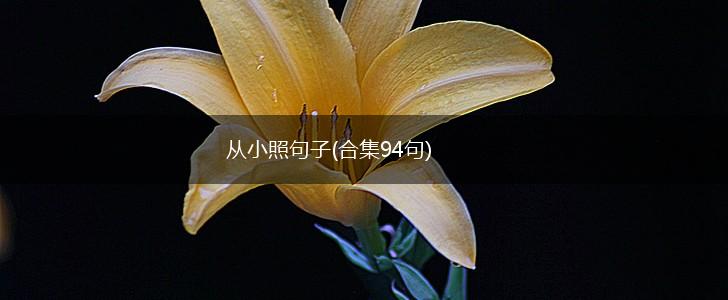 从小照句子(合集94句),第1张