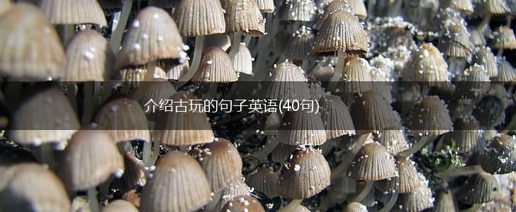 介绍古玩的句子英语(40句),第1张
