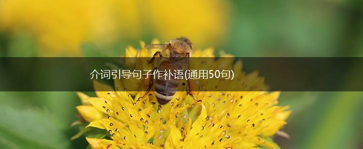 介词引导句子作补语(通用50句),第1张