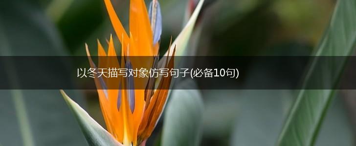 以冬天描写对象仿写句子(必备10句),第1张
