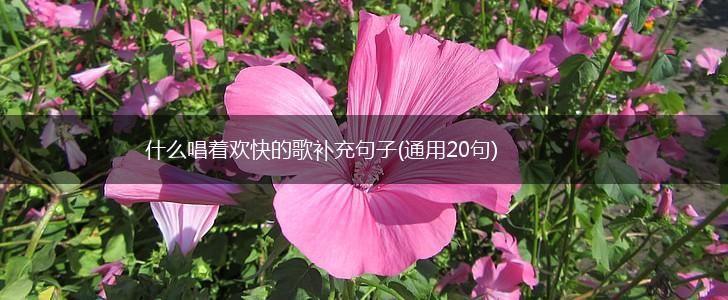 什么唱着欢快的歌补充句子(通用20句),第1张
