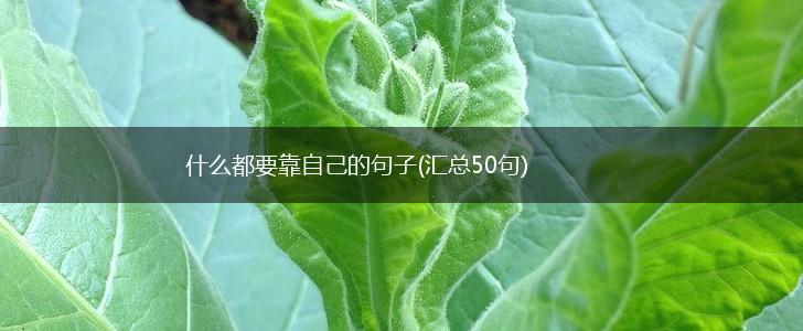 什么都要靠自己的句子(汇总50句),第1张