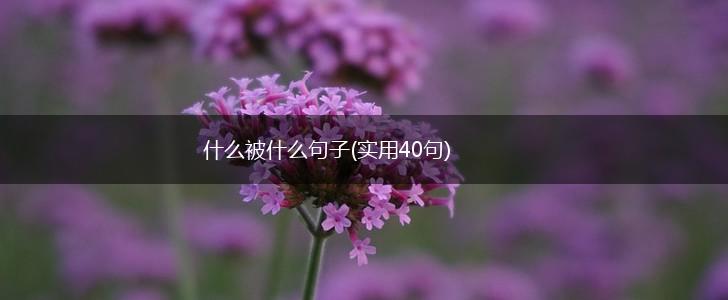 什么被什么句子(实用40句),第1张