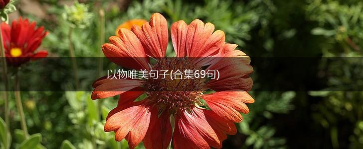 以物唯美句子(合集69句),第1张