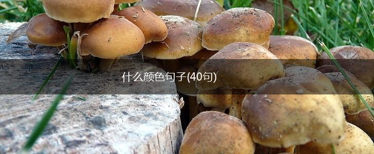 什么颜色句子(40句),第1张