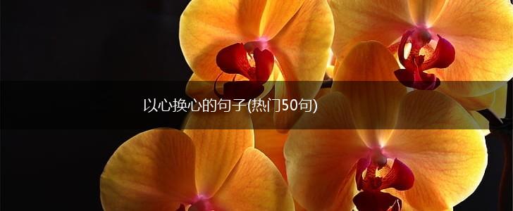 以心换心的句子(热门50句),第1张
