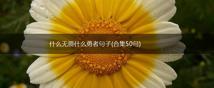 什么无畏什么勇者句子(合集50句),第1张