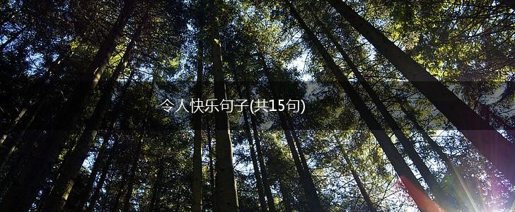 令人快乐句子(共15句),第1张