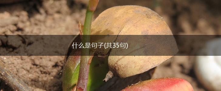 什么是句子(共35句),第1张