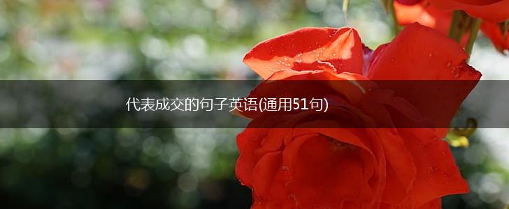 代表成交的句子英语(通用51句),第1张