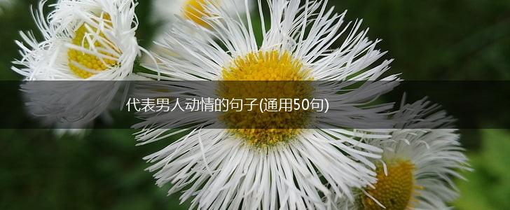 代表男人动情的句子(通用50句),第1张