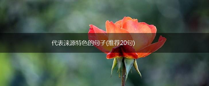 代表涞源特色的句子(推荐20句),第1张