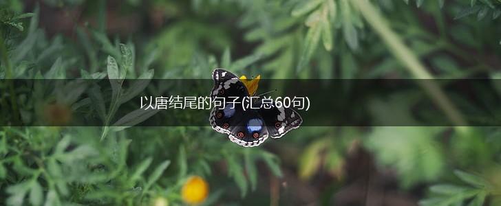 以唐结尾的句子(汇总60句),第1张