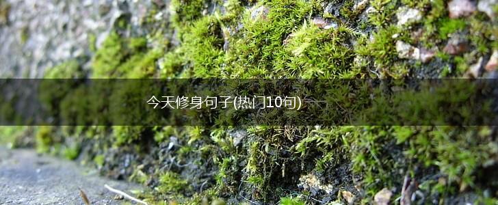 今天修身句子(热门10句),第1张