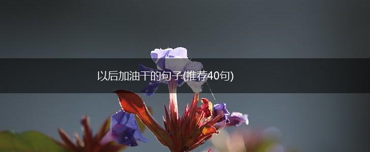 以后加油干的句子(推荐40句),第1张