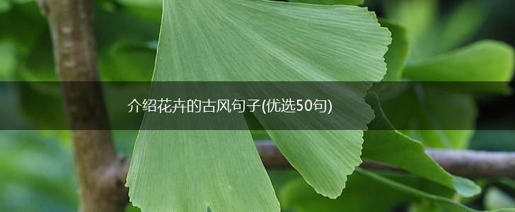 介绍花卉的古风句子(优选50句),第1张