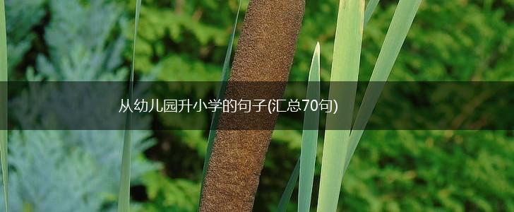 从幼儿园升小学的句子(汇总70句),第1张