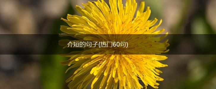 介短的句子(热门60句),第1张
