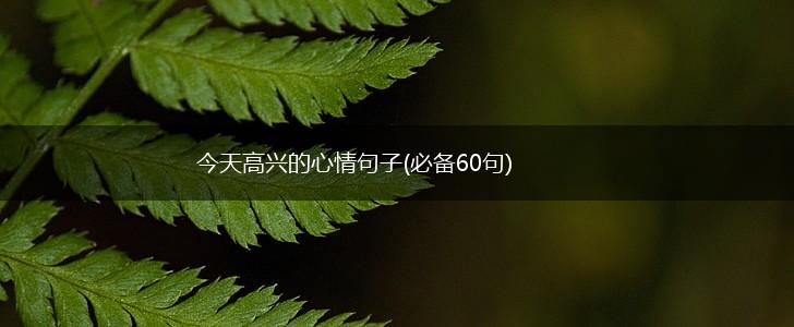 今天高兴的心情句子(必备60句),第1张