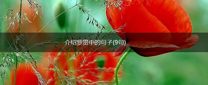 介绍罗贯中的句子(9句),第1张