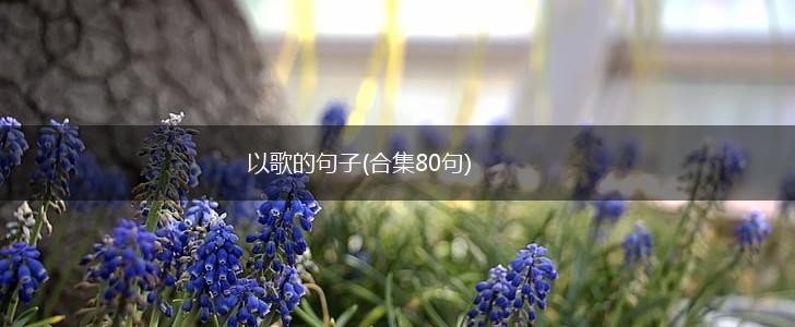 以歌的句子(合集80句),第1张