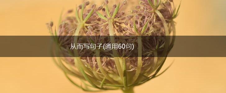 从而写句子(通用60句),第1张