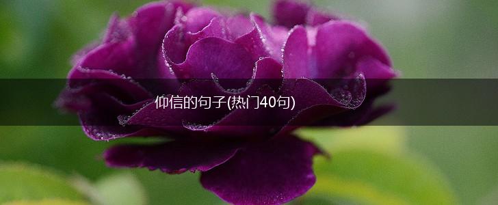 仰信的句子(热门40句),第1张