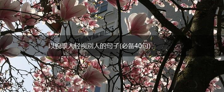 以貌取人轻视别人的句子(必备40句),第1张