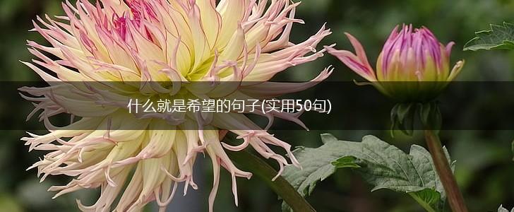 什么就是希望的句子(实用50句),第1张