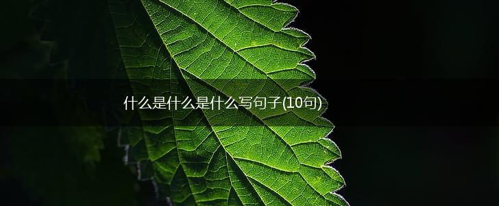什么是什么是什么写句子(10句),第1张