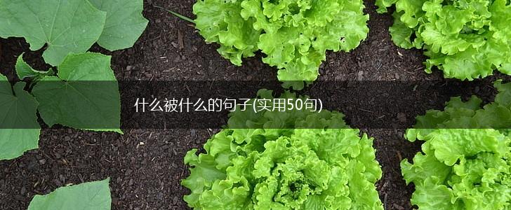 什么被什么的句子(实用50句),第1张