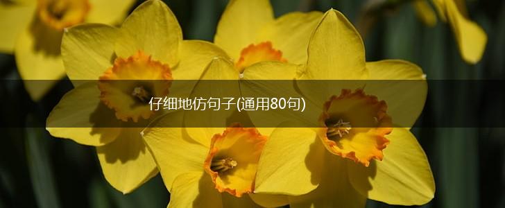 仔细地仿句子(通用80句),第1张