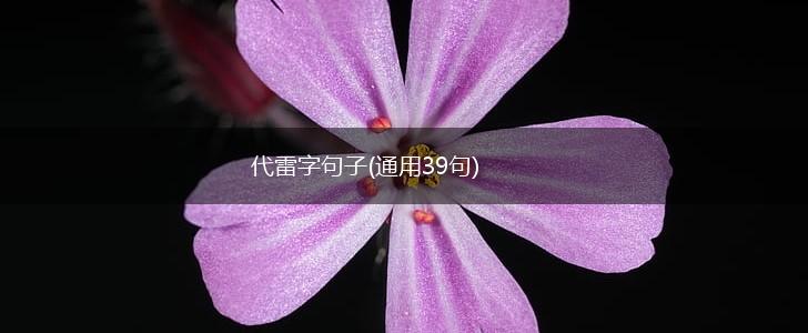 代雷字句子(通用39句),第1张