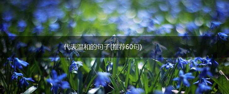 代表温和的句子(推荐60句),第1张