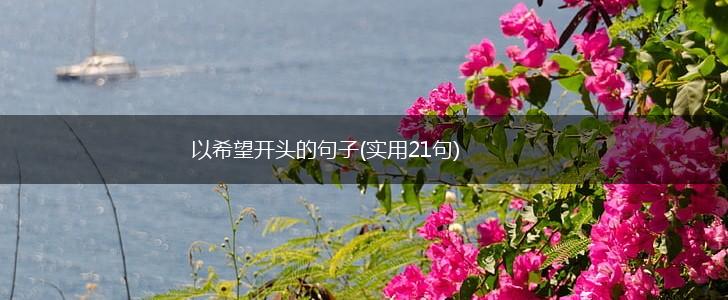 以希望开头的句子(实用21句),第1张