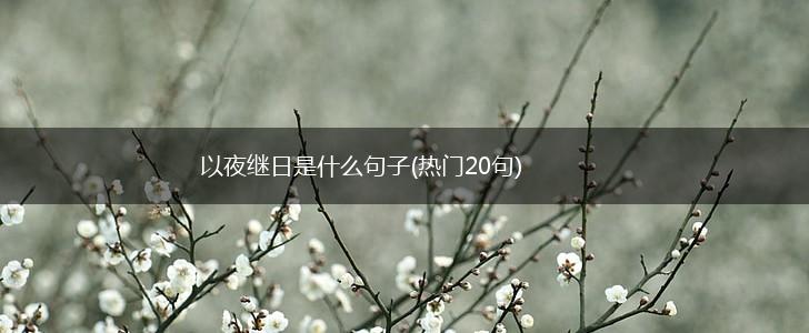 以夜继日是什么句子(热门20句),第1张