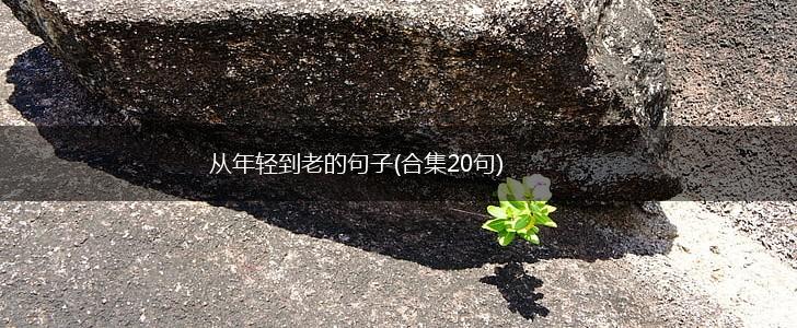 从年轻到老的句子(合集20句),第1张