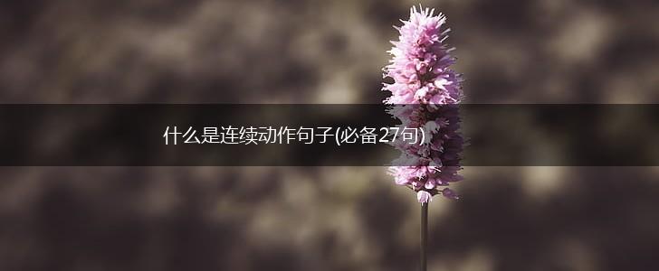 什么是连续动作句子(必备27句),第1张