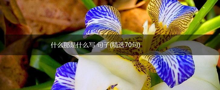 什么那是什么写 句子(精选70句),第1张