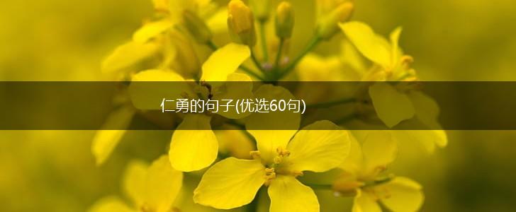 仁勇的句子(优选60句),第1张