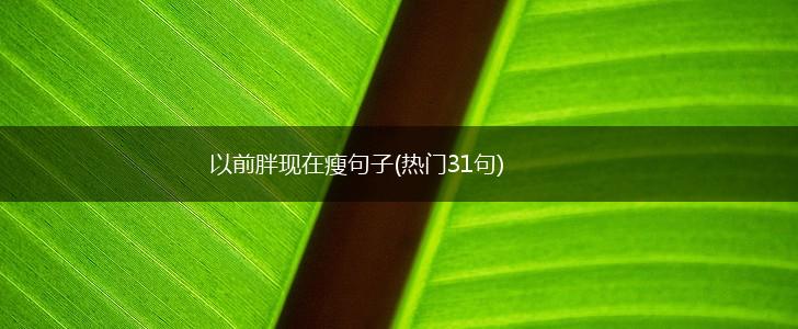 以前胖现在瘦句子(热门31句),第1张