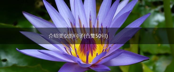介绍美女的句子(合集50句),第1张