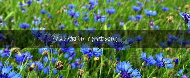 代表应龙的句子(合集50句),第1张