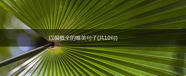以偏概全的唯美句子(共10句),第1张