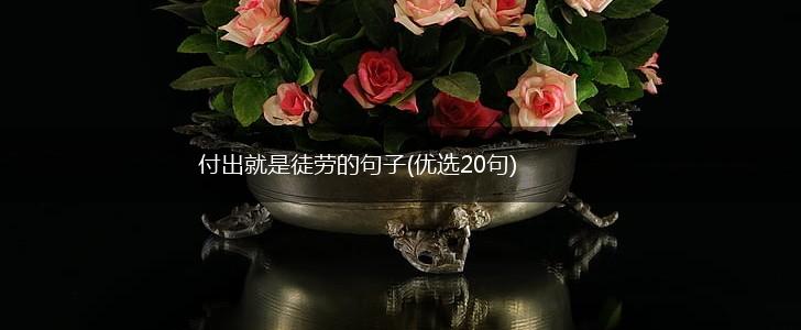 付出就是徒劳的句子(优选20句),第1张