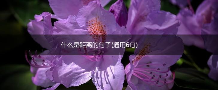 什么是距离的句子(通用6句),第1张