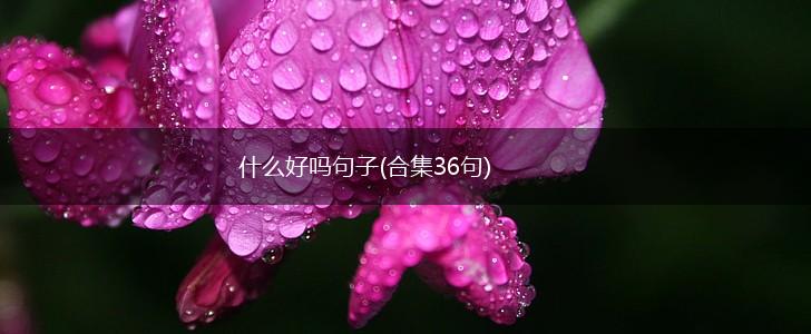 什么好吗句子(合集36句),第1张