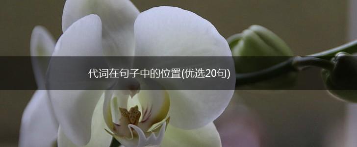 代词在句子中的位置(优选20句),第1张