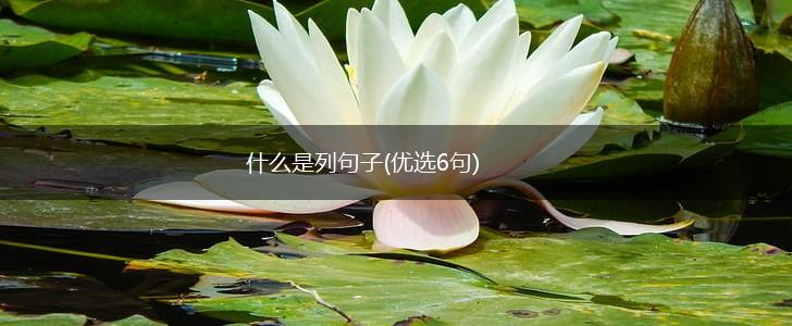 什么是列句子(优选6句),第1张